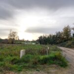 image LA LOGERIE - Parçay Meslay